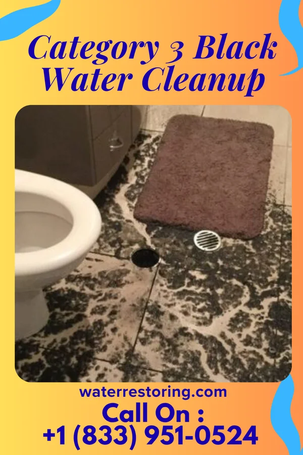 Category 3 Black Water Cleanup in Twin Lakes, MN