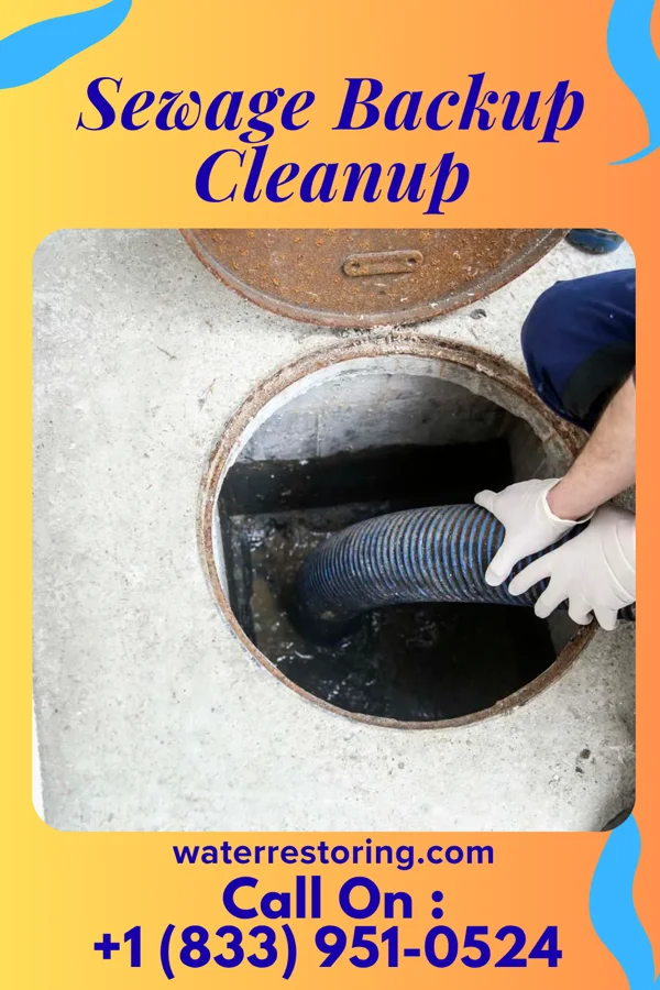 Sewage Backup Cleanup in Twin Lakes, MN